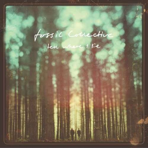 Fossil Collective : Tell Where I Lie (LP)