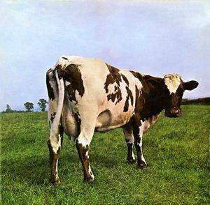Pink Floyd : Atom Heart Mother (LP - 2016 Remaster)