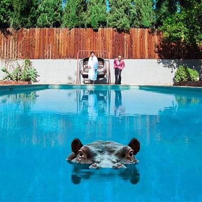 Sparks : Hippopotamus (2-LP)