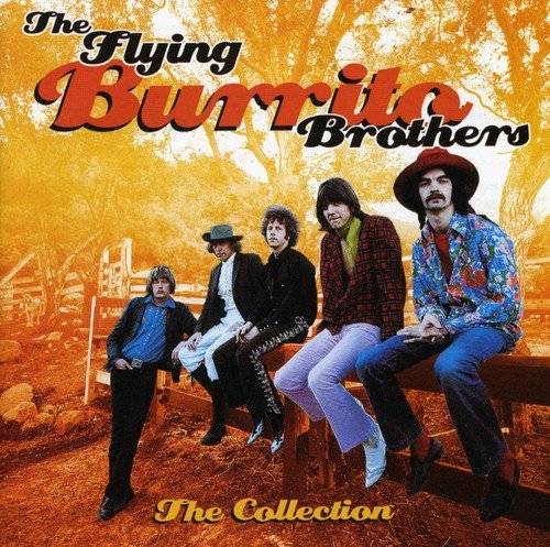 Flying Burrito Brothers : The Collection (CD)