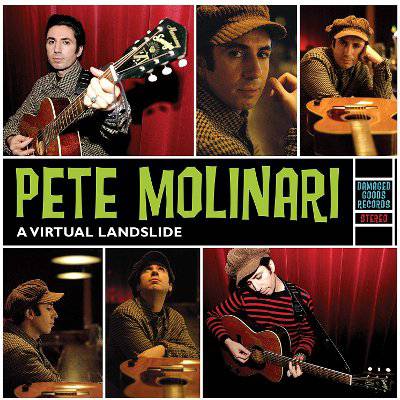 Molinari, Pete : A Virtual Landslide (CD)