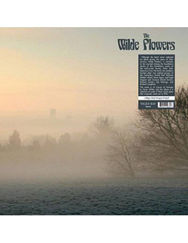 Wilde Flowers : Wilde Flowers (LP)