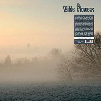 Wilde Flowers : Wilde Flowers (LP)
