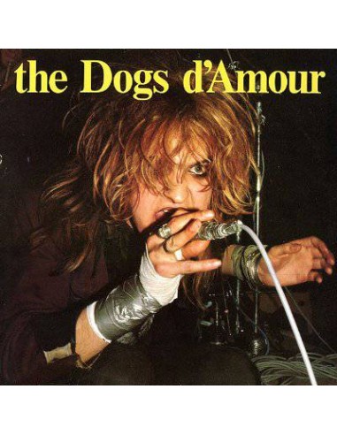 Dogs d'Amour : The State We're In (LP)