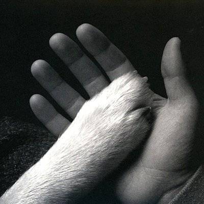 Jaws of Love : Tasha sits close to the piano (LP)