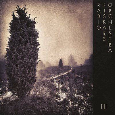 Radiofiskars Orchestra : III (LP)