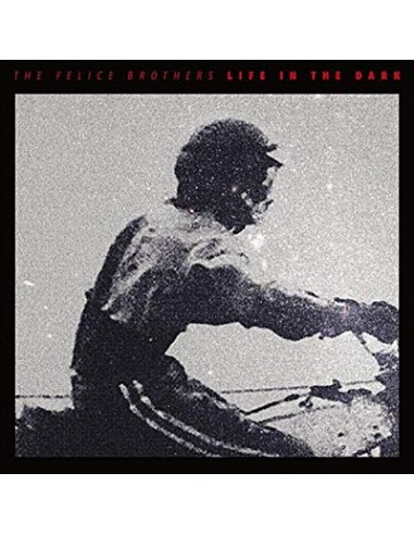 Felice Brothers : Life In The Dark (LP)