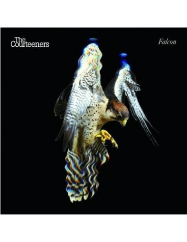 Courteeners : Falcon (LP) RSD white vinyl