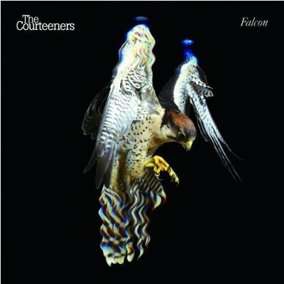 Courteeners : Falcon (LP) RSD white vinyl