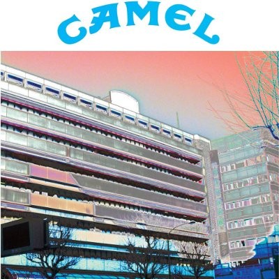 Camel : Kosei Nenkin Hall, Tokyo, Jan 27 1980 (CD)