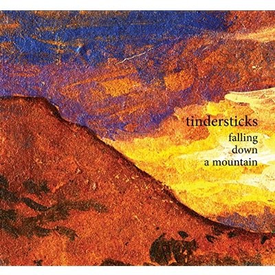 Tindersticks : Falling Down a Mountain (CD)