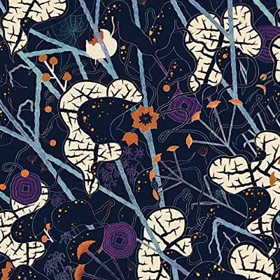 Foy, Lyla : Mirrors The Sky (LP)