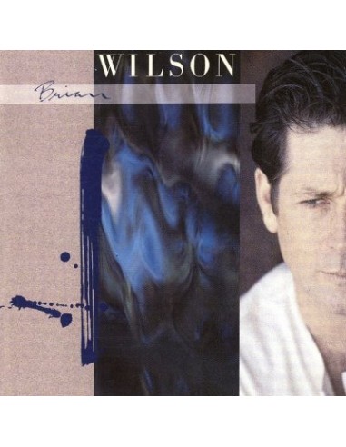 Wilson, Brian : Brian Wilson (LP)