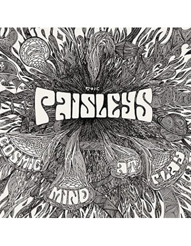 Paisleys : Cosmic mind at play (LP)