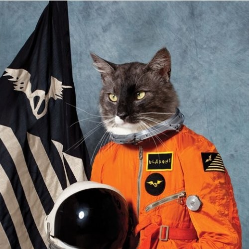 Klaxons : Surfing the void (2-LP) RSD 2020