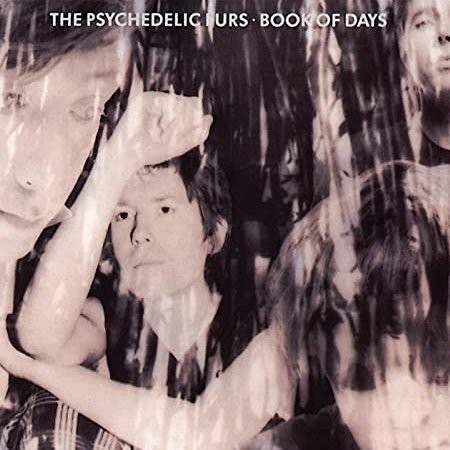 Psychedelic Furs : Book of days (LP)