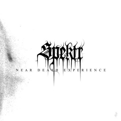 Spektr : Near Death Experience (LP)