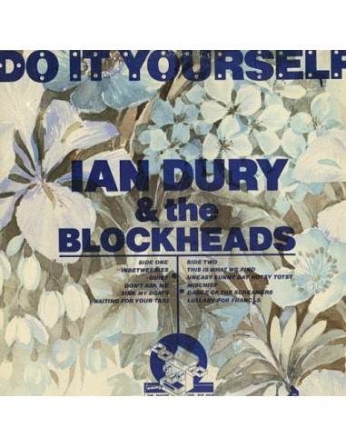 Dury, Ian & The Blockheads : Do it yourself (LP)