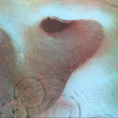 Pink Floyd : Meddle (LP)