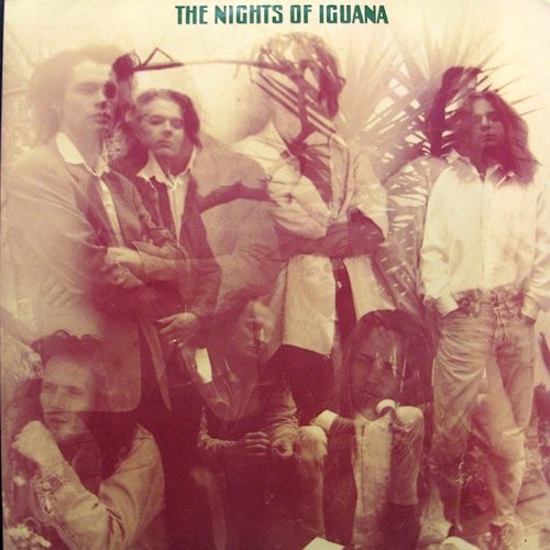 Nights of Iguana : She Must Be In The Air (12")