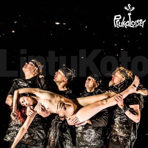 Peukaloiset : LintuKoto (LP)