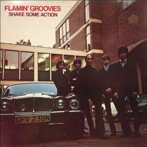 Flamin' Groovies : Shake Some Action (LP)