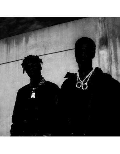 Big Sean and Metro Boomin : Double or Nothing (LP)