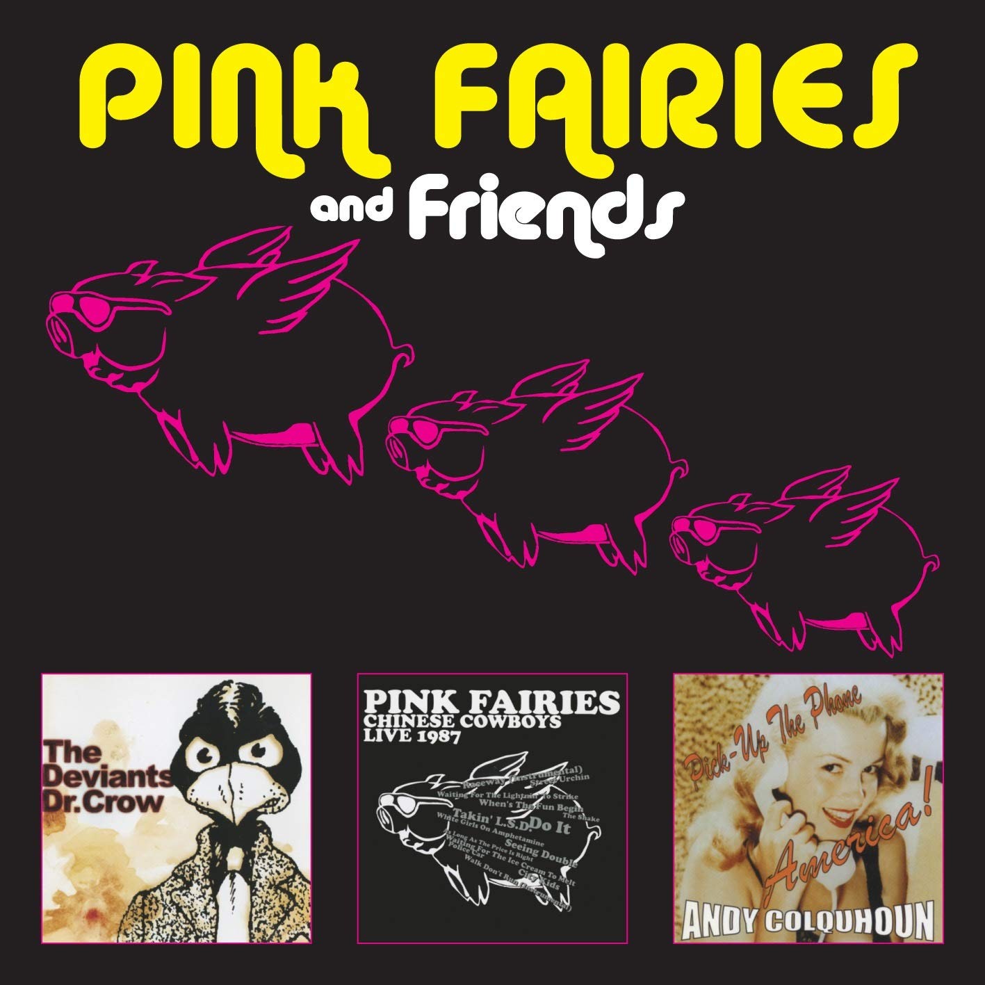 Pink Fairies  : And Friends (3-CD)