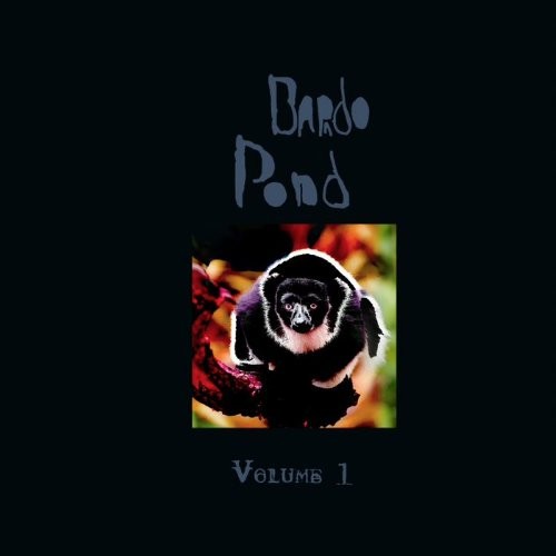 Bardo Pond : Volume 1 (LP) RSD 2021