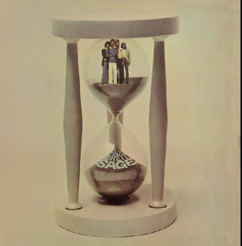 Paul Brett Sage : Paul Brett Sage (LP)