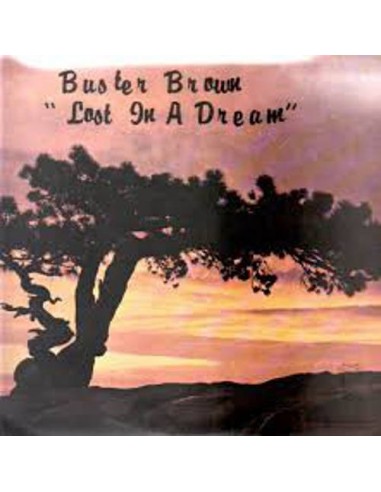 Brown, Buster : Lost In A Dream (LP)