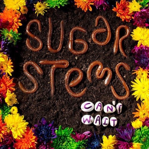 Sugar Stems : Can't Wait (LP)