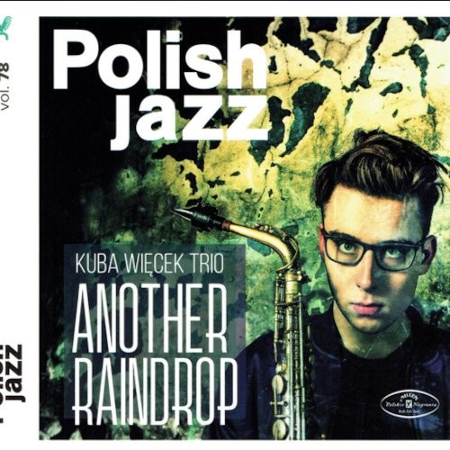 Więcek, Kuba Trio : Another Raindrop (CD)