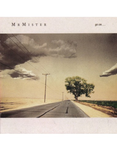 Mr. Mister : Go on (LP)