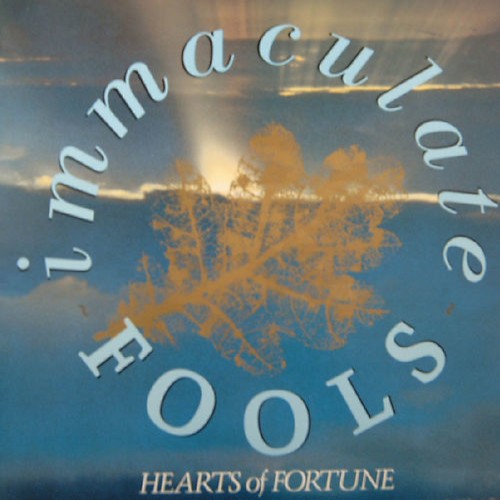 Immaculate Fools : Hearts of Fortune (LP) splatter
