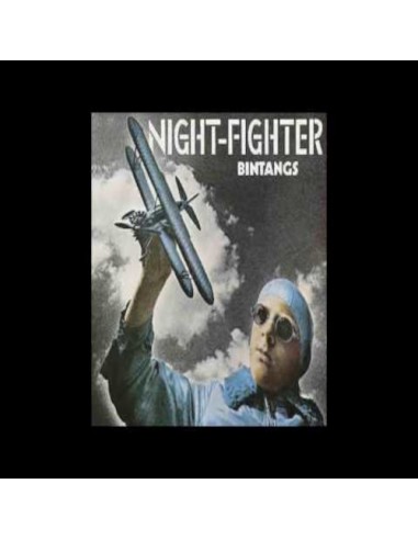 Bintangs : Nightfighter (LP)