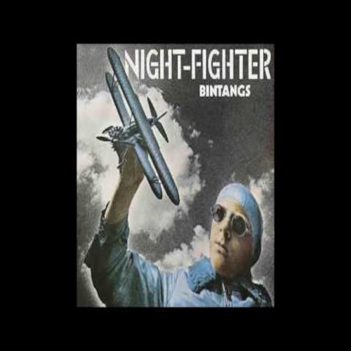Bintangs : Nightfighter (LP)