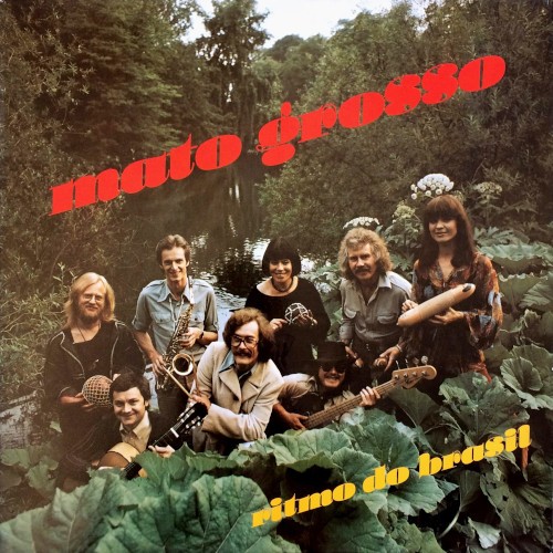 Mato Grosso : Ritmo do Brasil (LP)