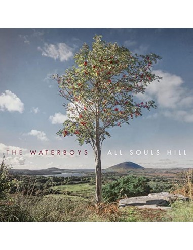 Waterboys : All souls hill (CD)
