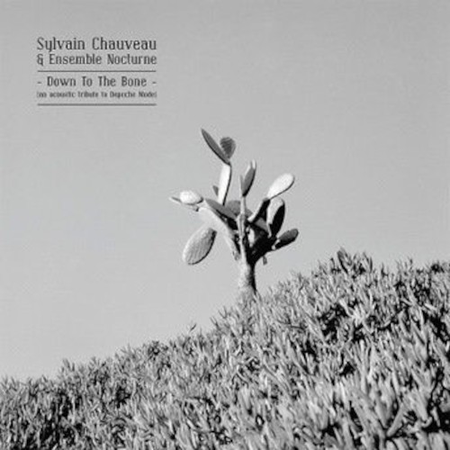 Chauveau, Sylvain & Ensemble Nocturne : Down to the Bone (LP)