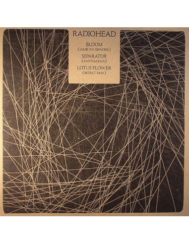 Radiohead : Bloom (Jamie XX Rework) (12")