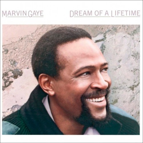 Gaye, Marvin : Dream of a Lifetime (LP)
