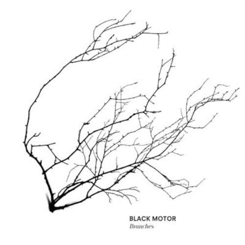 Black Motor : Branches (CD)
