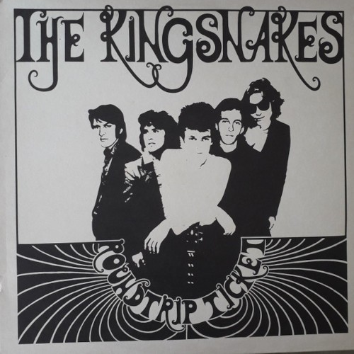 Kingsnakes : Roundtrip Ticket (LP)