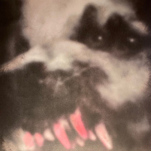 Sydänyön rytmi : Erämaa (LP)