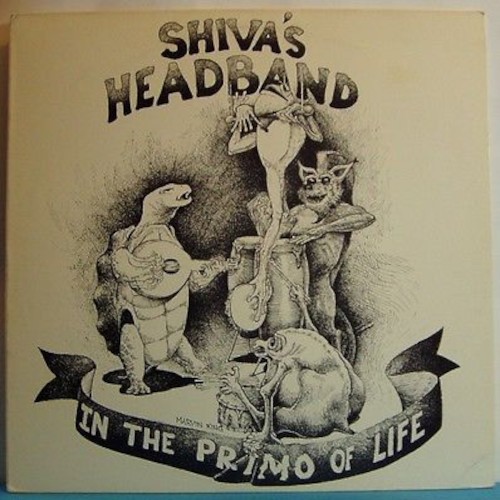 Shiva's Headband : In the Primo of Life (LP)