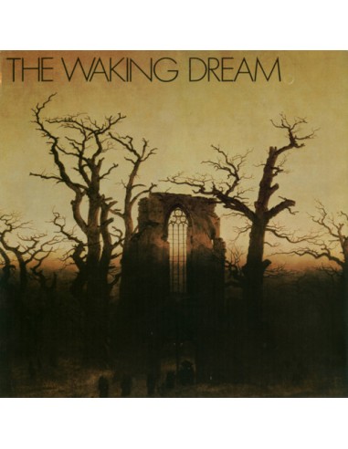 The Waking Dream (LP) Psycho Records sampler