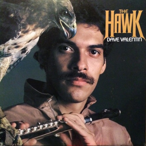 Valentin, Dave : The Hawk (LP)