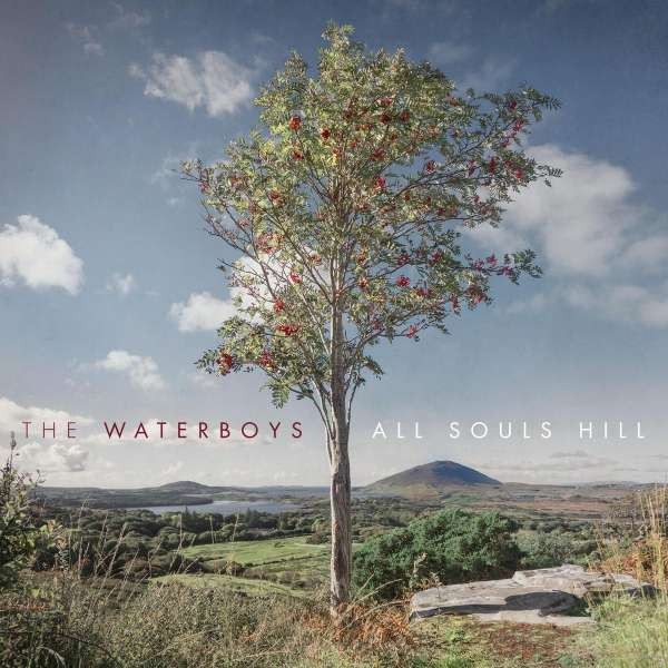 Waterboys : All souls hill (LP)