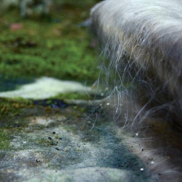 Mohel : The Second Temple (LP)